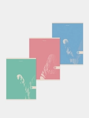 Тетрадь BRAUBERG "Pastel", А4, скоба, клетка, 48 листов