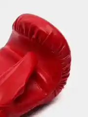 Перчатки снарядные jabb