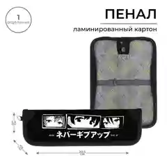 Пенал 1 секция, 55 х 205 х 25 мм, Calligrata, ламинированный картон