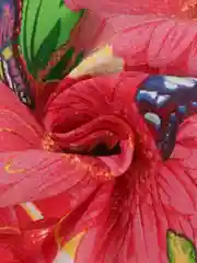 Полотенце кухонное "Любимым зеленый"