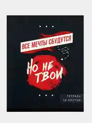 Хром тетрадь общая в клетку, 48 листов, обложка из картона