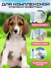 Машинка, триммер для стрижки кошек, собак и животных, с регулировкой мощности, 3в1