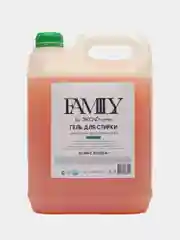Гель для стирки 5 л, FAMILY by ЭКО home, без запаха, универсальный