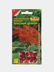 Клен Красный дракон японский (семена)