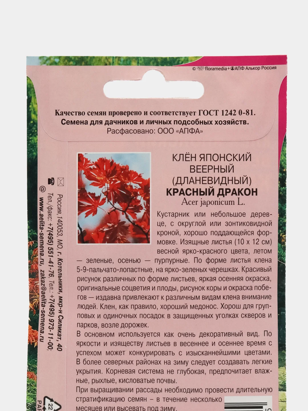 Клен Красный дракон японский (семена)