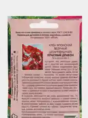 Клен Красный дракон японский (семена)
