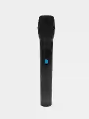 Черный портативная колонка Bluetooth HOPESTAR  P24 / PARTY ONE