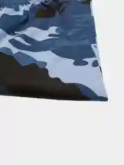 Шорты