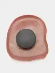 Оранжевый значки на Сrocs