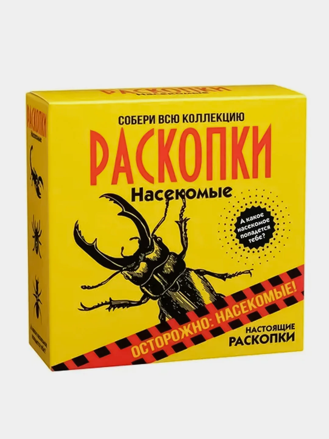 Раскопки для детей Бумбарам "Насекомые"