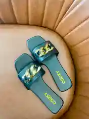 Сланцы