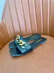 Сланцы
