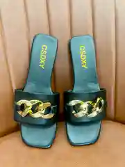 Сланцы