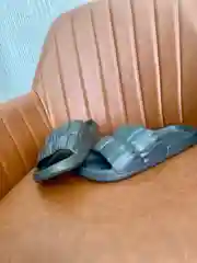 Сланцы