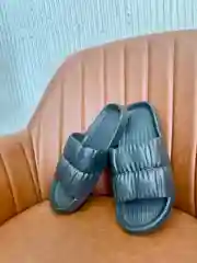 Сланцы