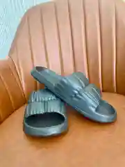 Сланцы