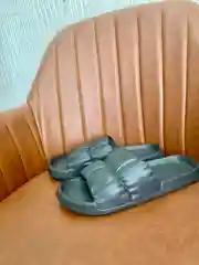 Сланцы