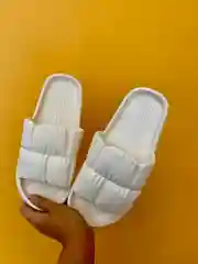 Сланцы
