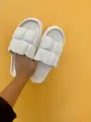Сланцы