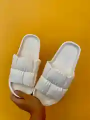 Сланцы