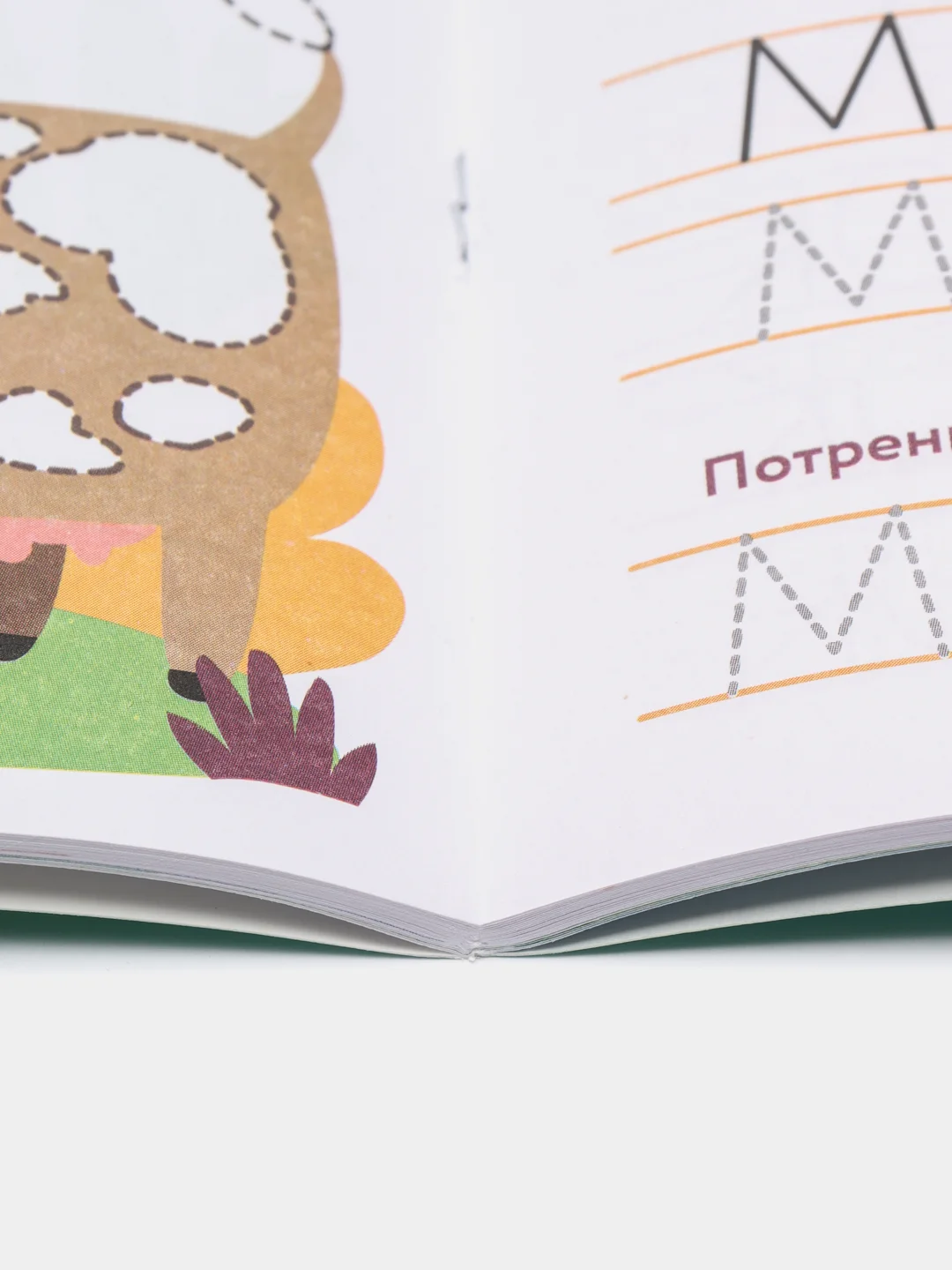 Обучение письму. Экспресс-подготовка к школе
