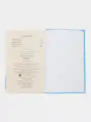 Недоросль. Школьная программа