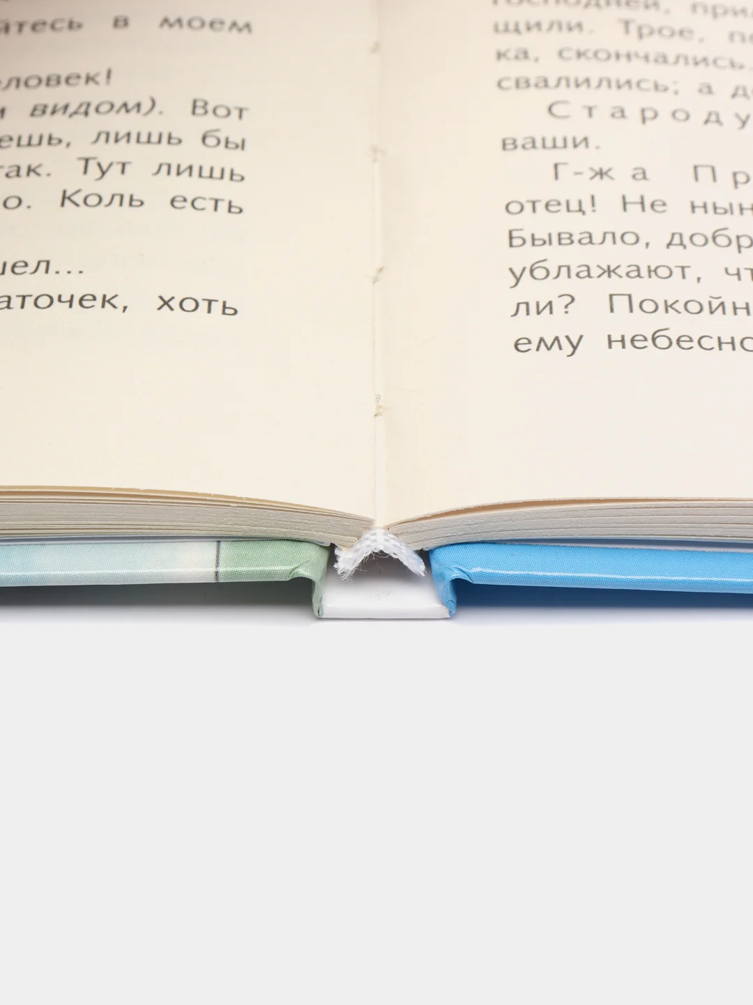 Недоросль. Школьная программа