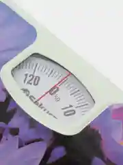 Сиреневый весы напольные механические SA-5000, 130кг