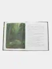 Друзья моего детства