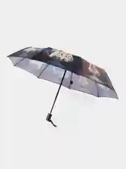 Багровый зонт Popular автомат, город, звезды, омбре