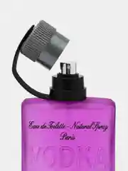 V-Blackcurrant INTENSE PERFUME (В-Черная Смородина двойной парфюм) Т/В муж. 100 мл
