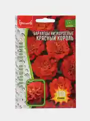 Бархатцы Красный Король низкорослые махровые (семена,цветы)
