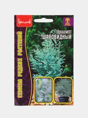 Эвкалипт Шаровидный (семена)
