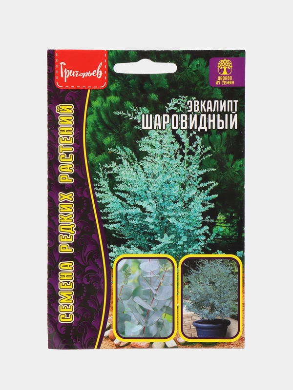 Эвкалипт Шаровидный (семена)