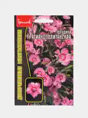 Гвоздика Гратианополитанская (семена,цветы)