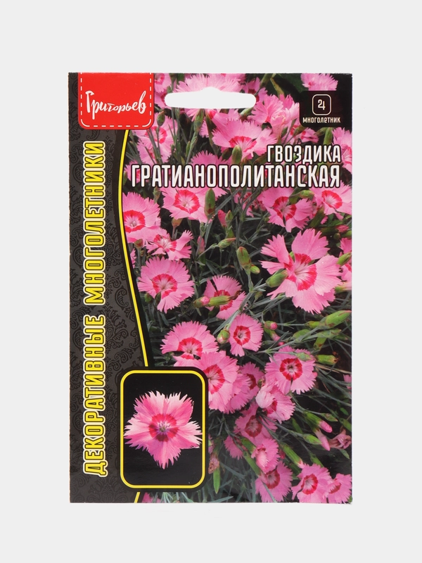 Гвоздика Гратианополитанская (семена,цветы)