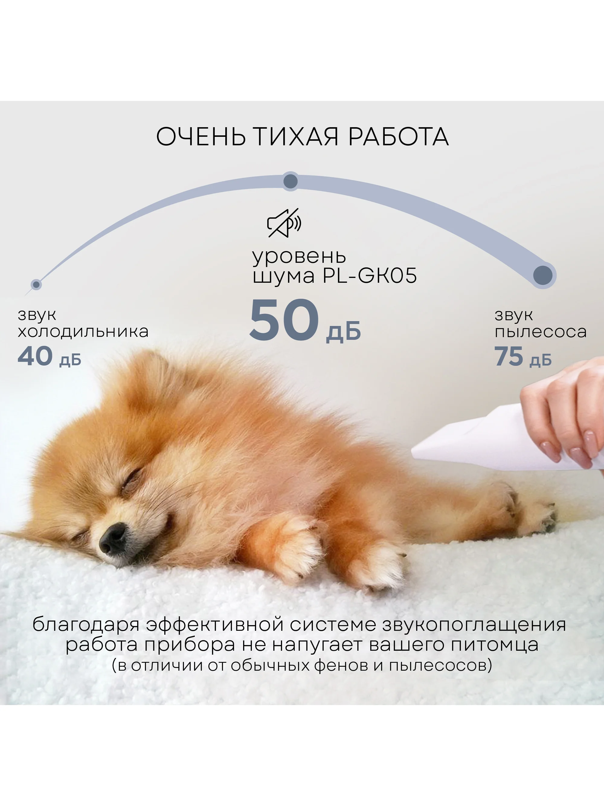 Набор для стрижки собак и кошек PLANTA PL-GK05, груминг-набор с феном, 5 насадок