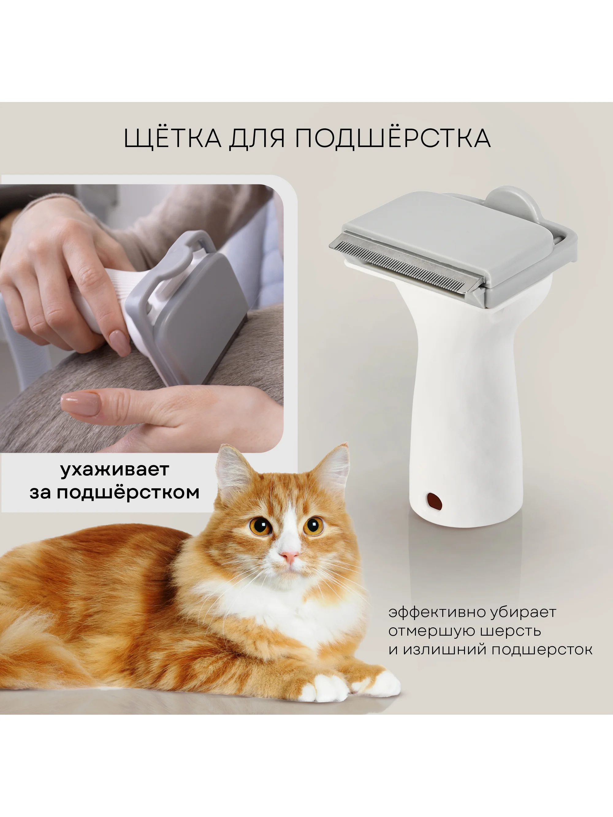 Набор для стрижки собак и кошек PLANTA PL-GK05, груминг-набор с феном, 5 насадок