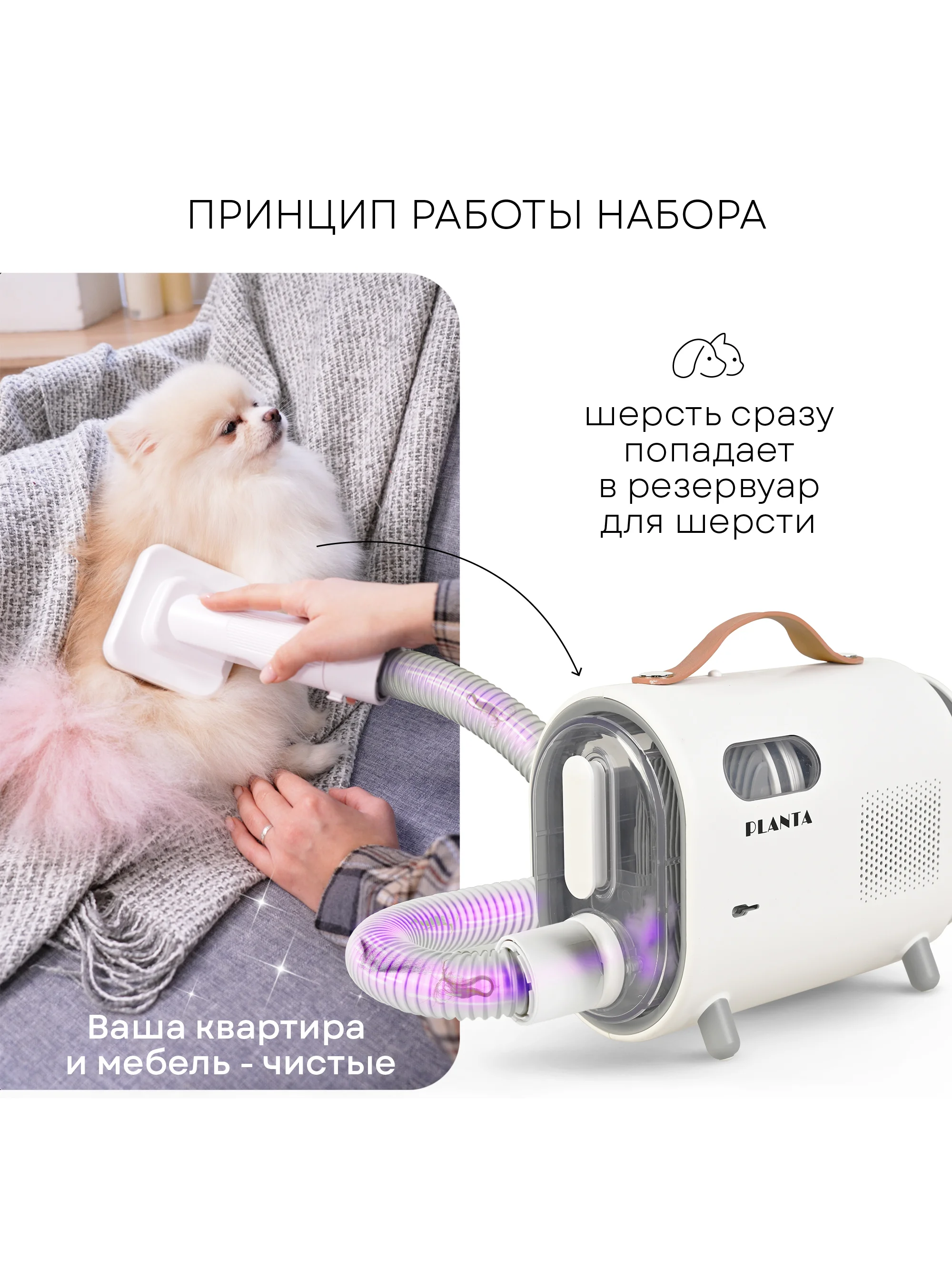 Набор для стрижки собак и кошек PLANTA PL-GK05, груминг-набор с феном, 5 насадок