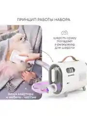 Набор для стрижки собак и кошек PLANTA PL-GK05, груминг-набор с феном, 5 насадок