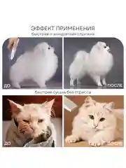 Набор для стрижки собак и кошек PLANTA PL-GK05, груминг-набор с феном, 5 насадок