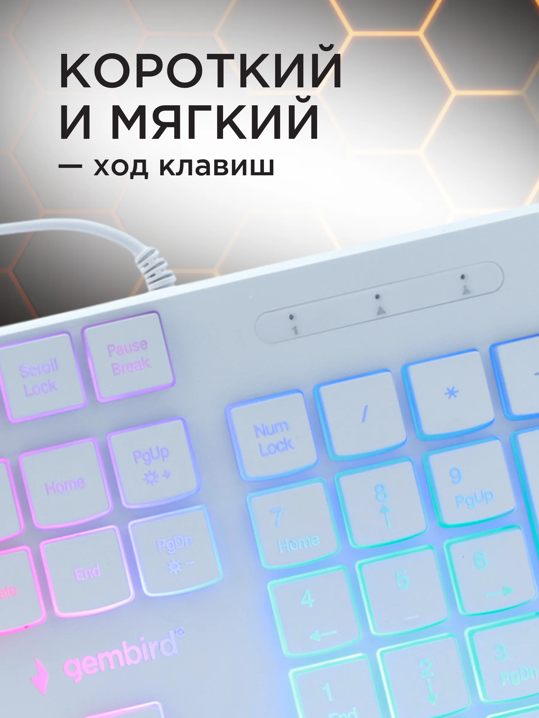Проводная игровая клавиатура Gembird KB-250L-W