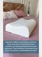 Наволочка на подушку WAVE с двумя валиками, 60х40х15/13 см, хлопок