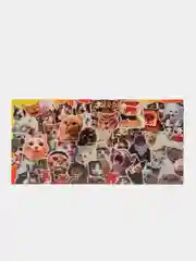 Терракотовый конверты для денег с прикольными надписями "С Днём рождения!"