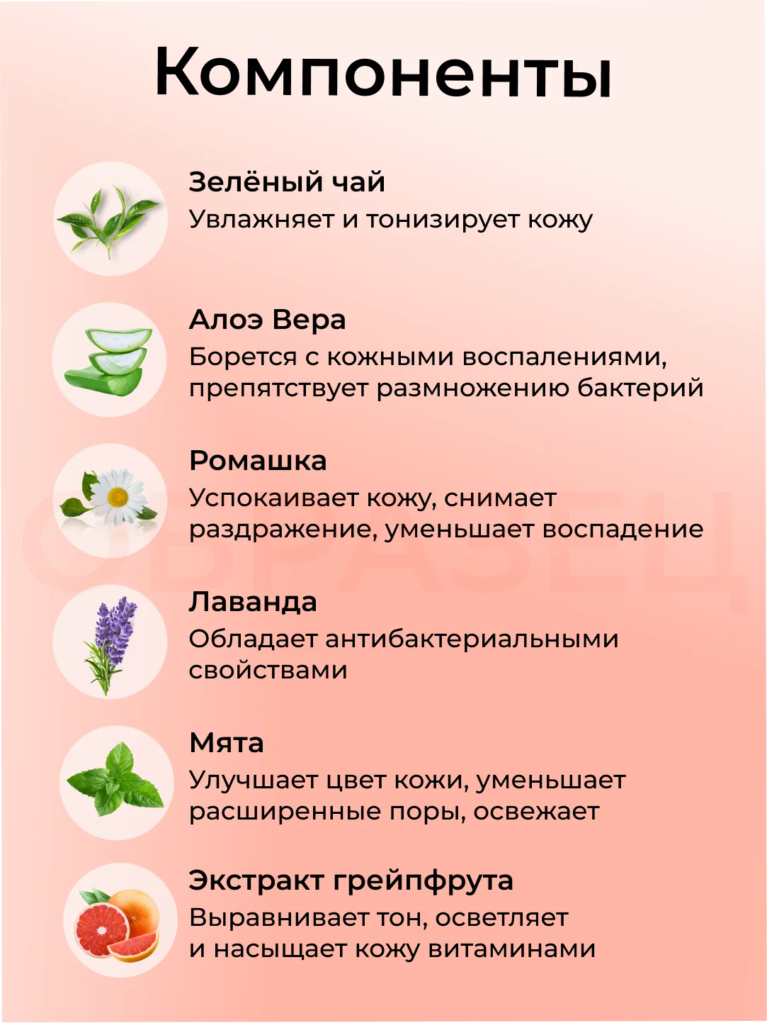 Трёхшаговый набор от чёрных точек - Elizavecca