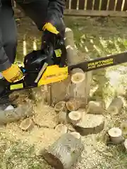 Бензопила цепная Partner for Garden GS 520 3,5 л.с, мощность 2,4 кВт л.с., лёгкий запуск
