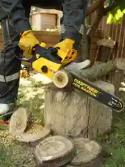 Пила цепная электрическая Partner for Garden ES-405 2000 Вт,16"/40 см шина,цепь 3/8-1,3-57