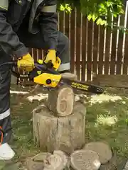 Пила цепная электрическая Partner for Garden ES-405 2000 Вт,16"/40 см шина,цепь 3/8-1,3-57