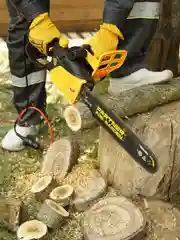 Пила цепная электрическая Partner for Garden ES-350(1800Вт,14"/ 35см шина,цепь 3/8-1,3-52)
