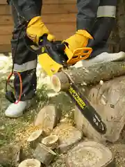 Пила цепная электрическая Partner for Garden ES-350(1800Вт,14"/ 35см шина,цепь 3/8-1,3-52)